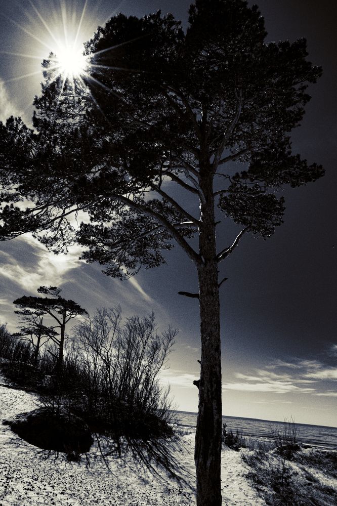 Photograph by Константин Хворостов