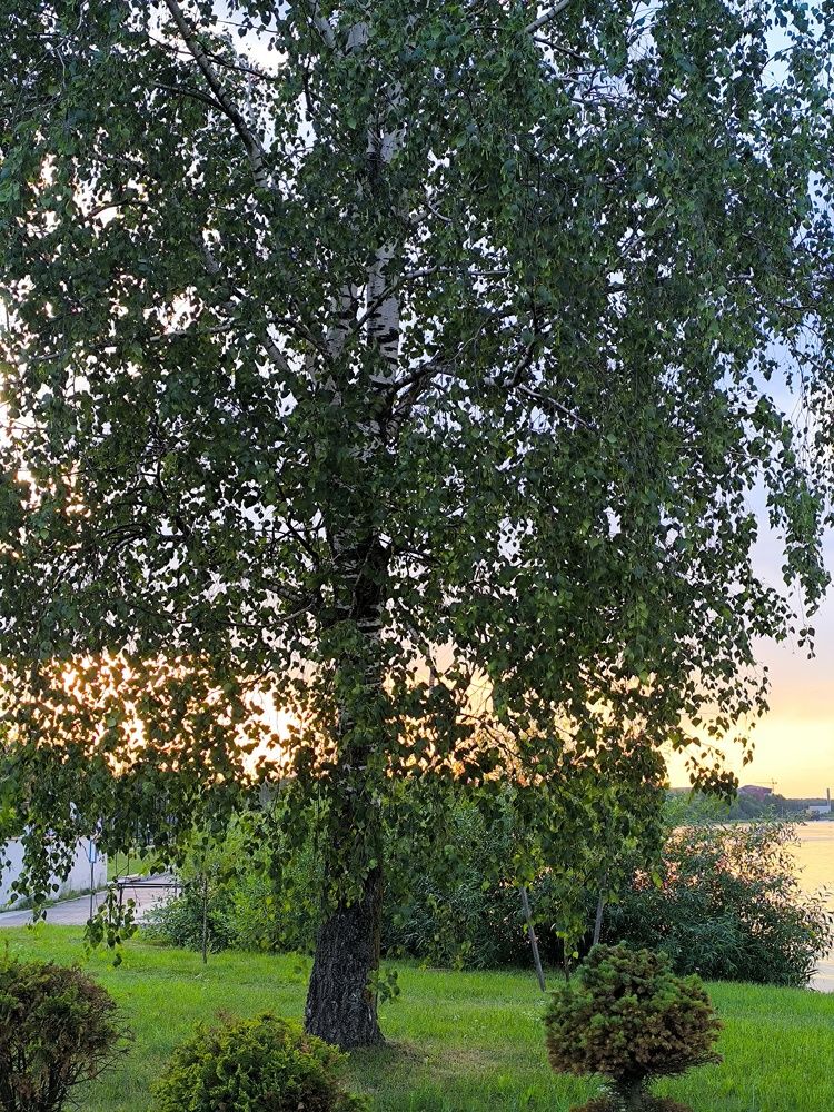 Photograph by Людмила Муравьева