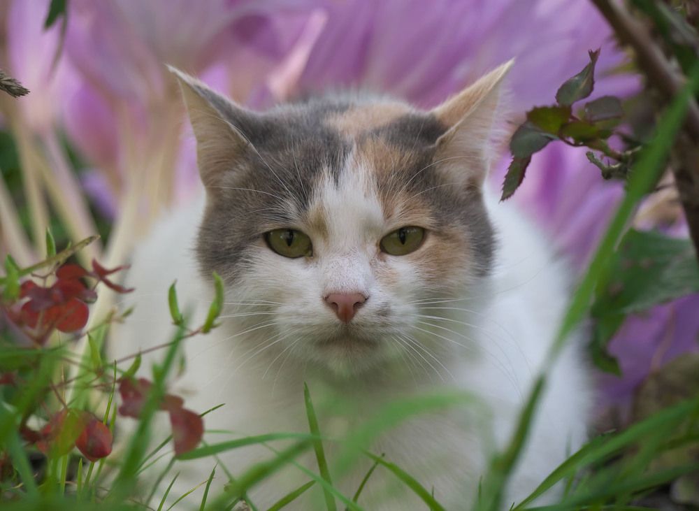 Photograph by Сергей Харитон