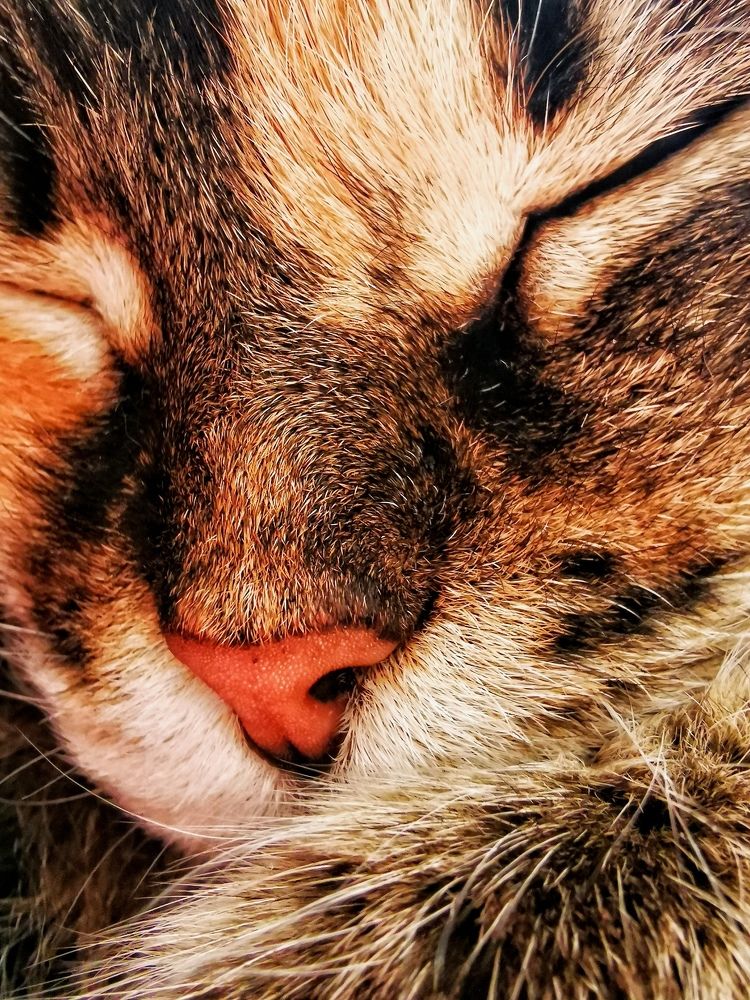 Photograph by Елена Артёменко