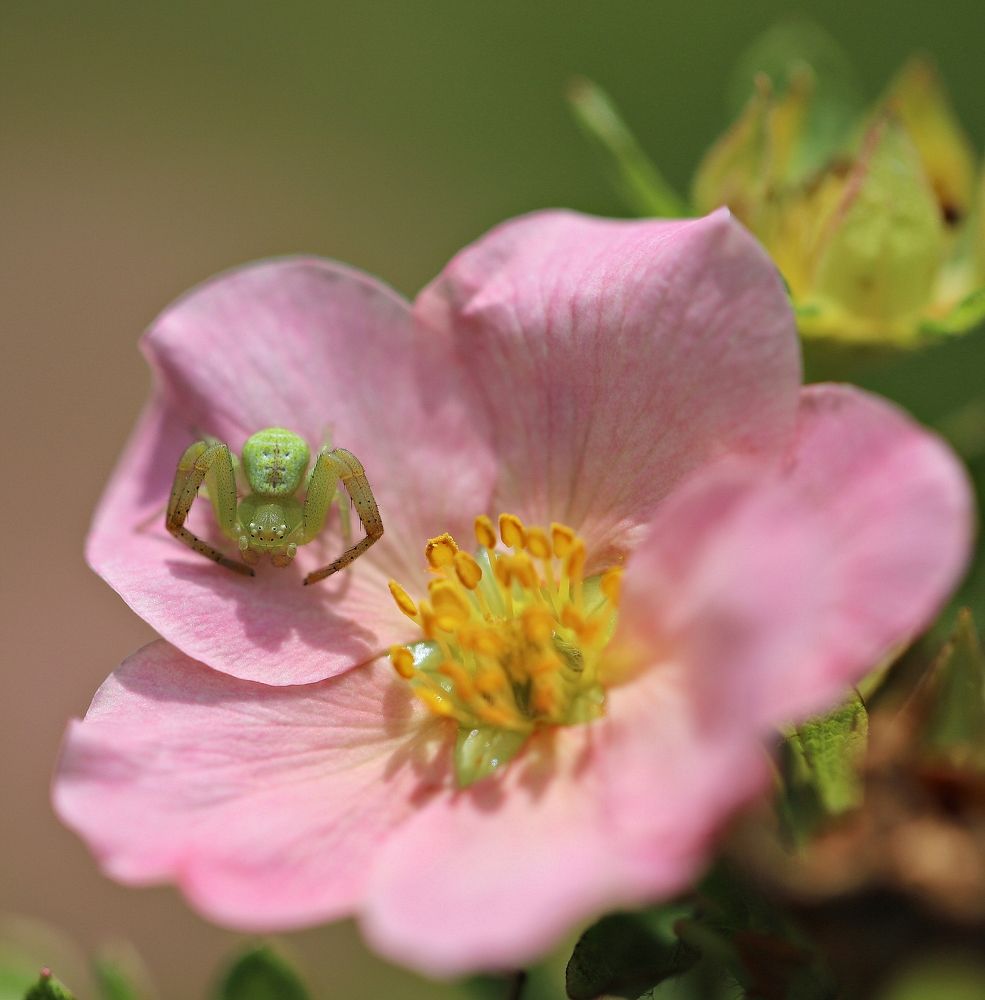 Photograph by Екатерина Мстиславская