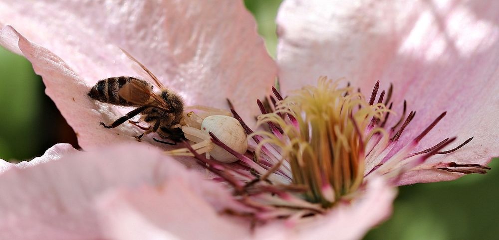 Photograph by Екатерина Мстиславская