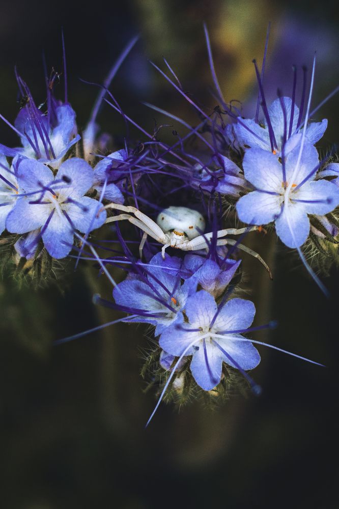 Photograph by Анна Дубинина