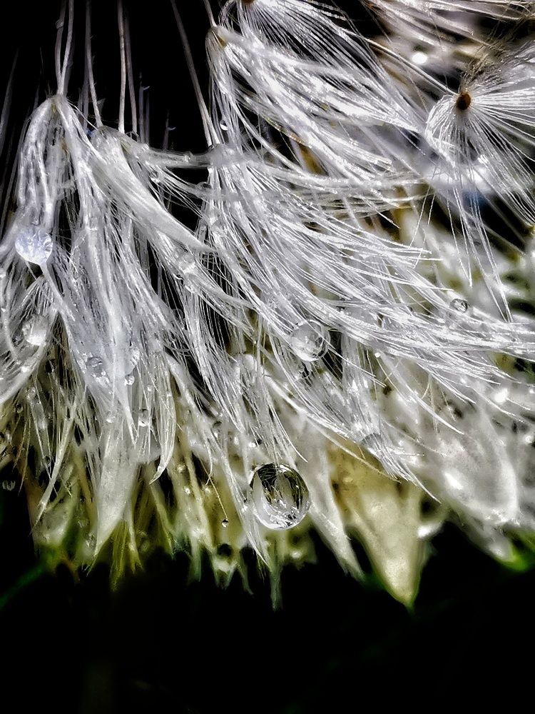 Photograph by Елена Артёменко