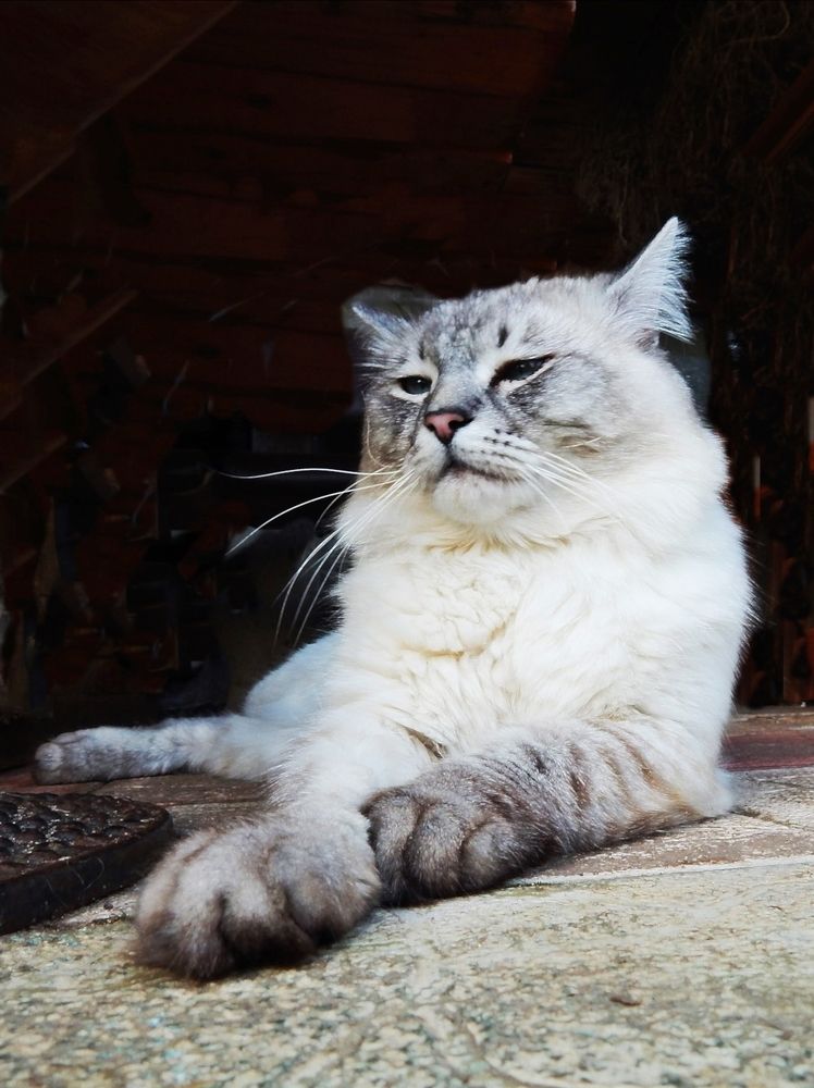 Photograph by Юрий Пучков