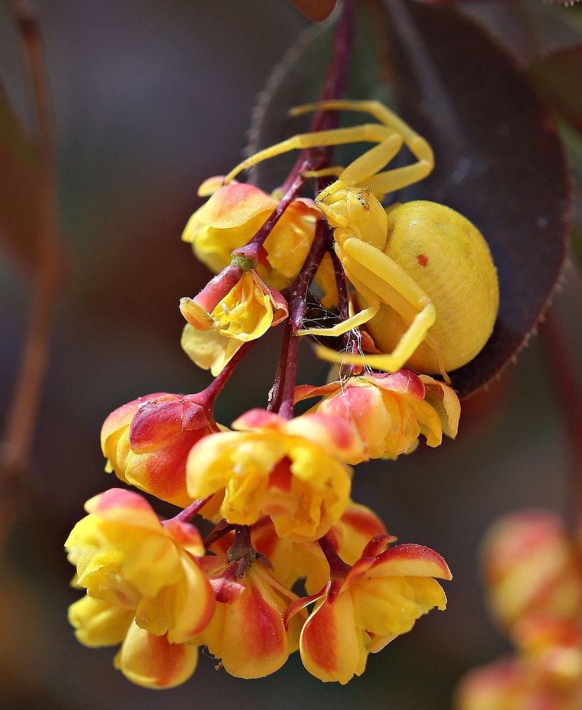 Photograph by Екатерина Мстиславская