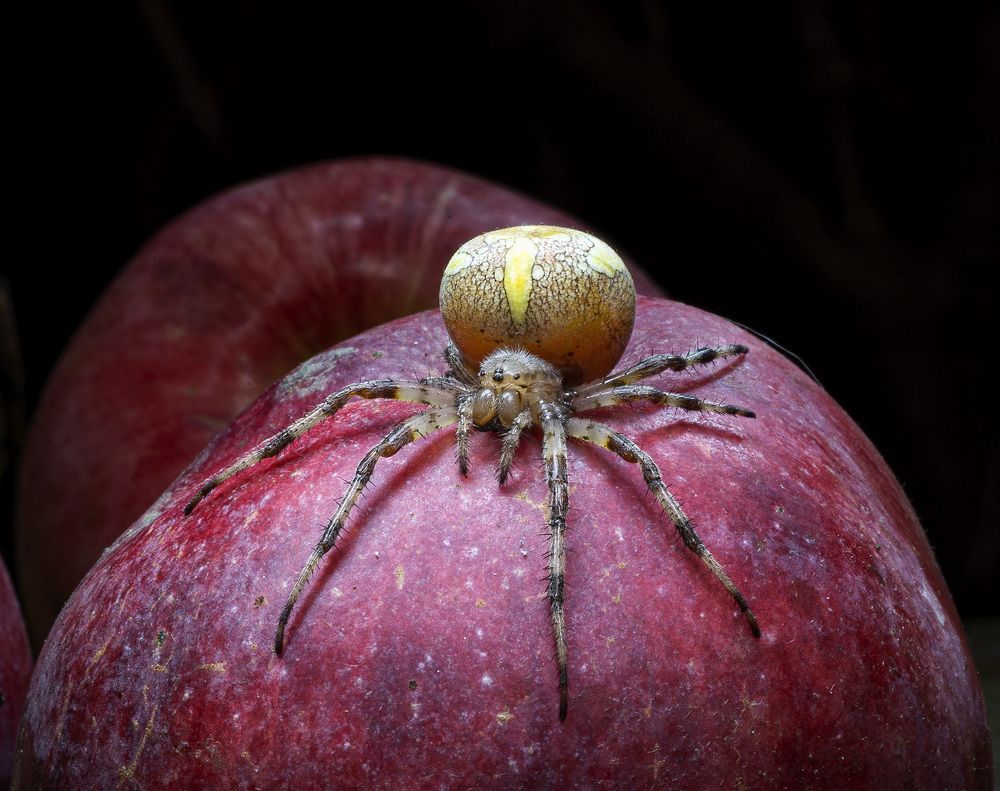 Photograph by Анатолий Макоедов