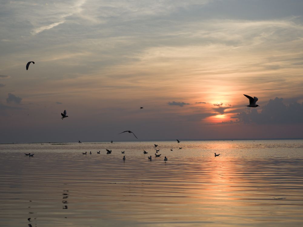 Photograph by Ирина Баландина