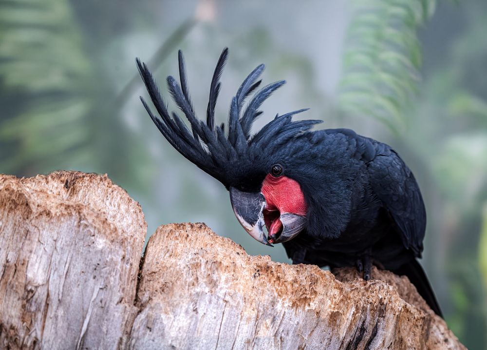 Photograph by Zaneta Konradova