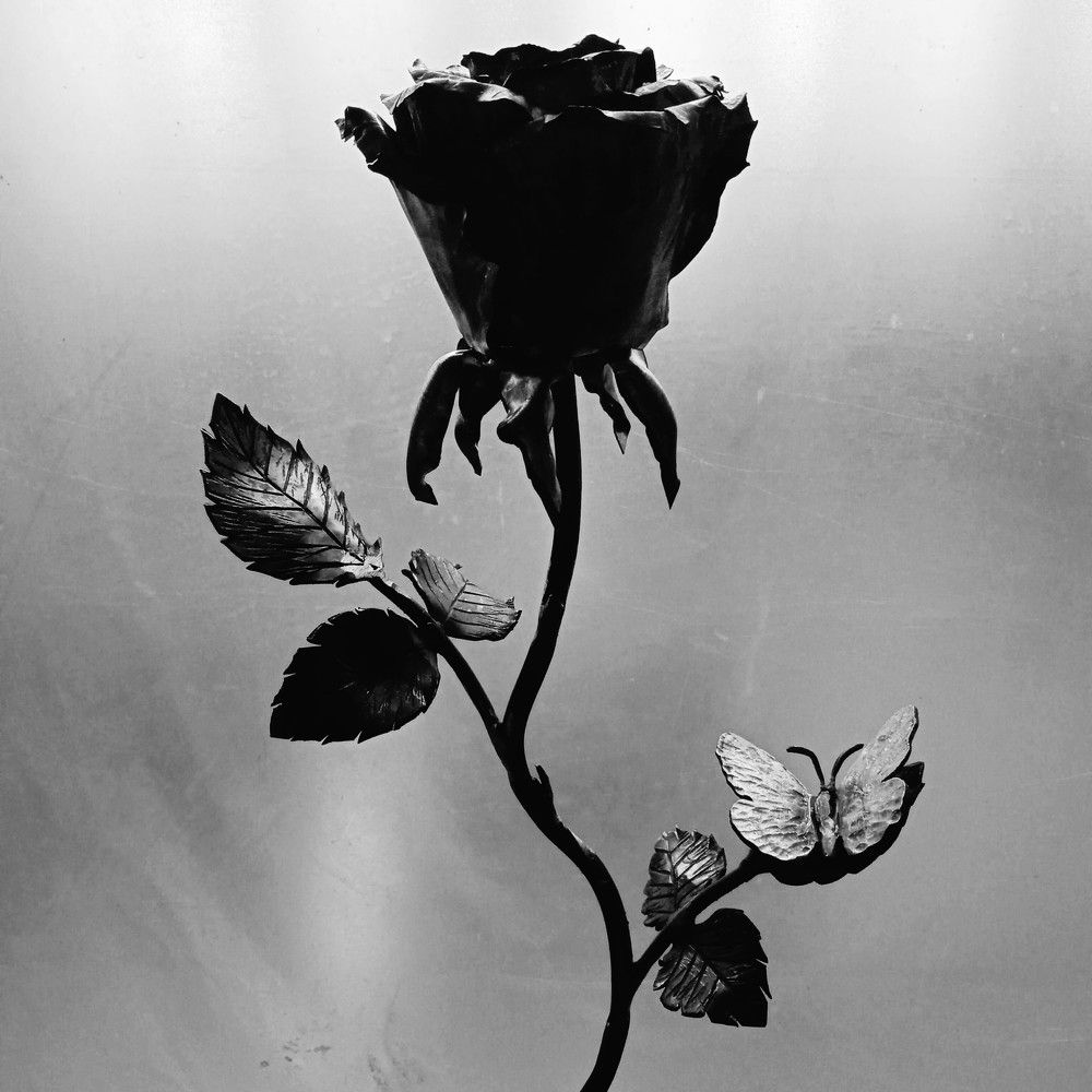 Steel rose
