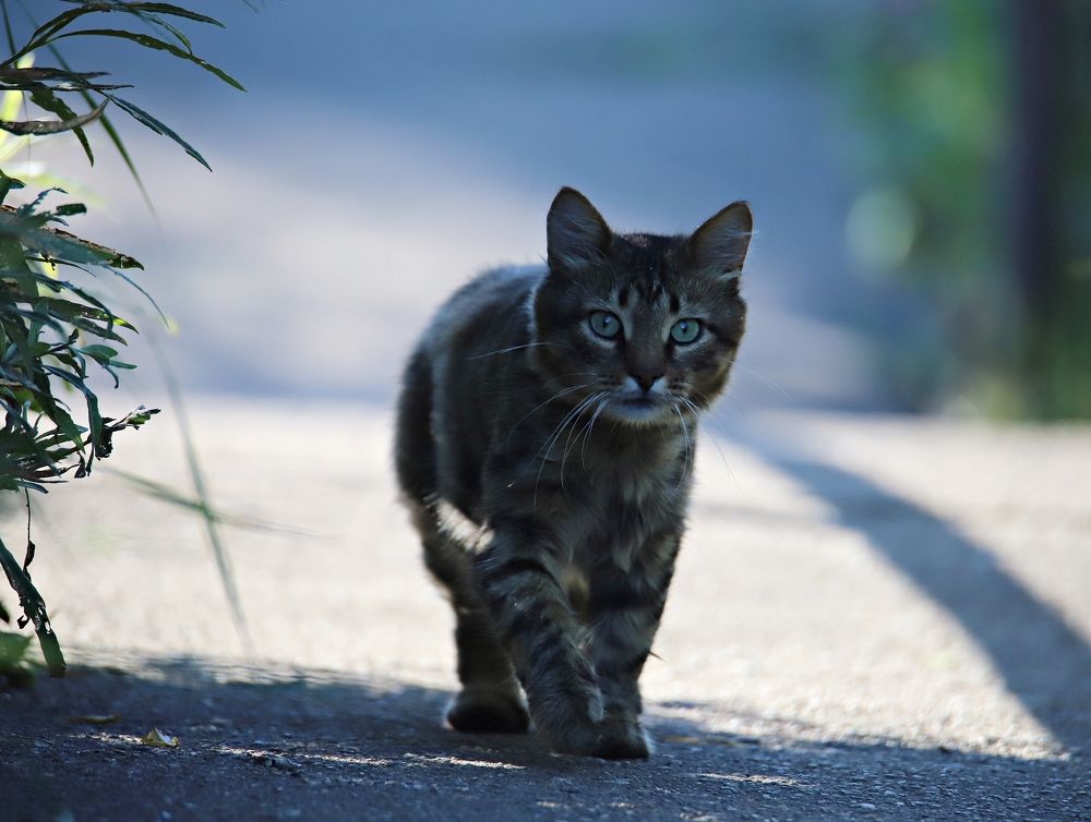 Photograph by Екатерина Мстиславская