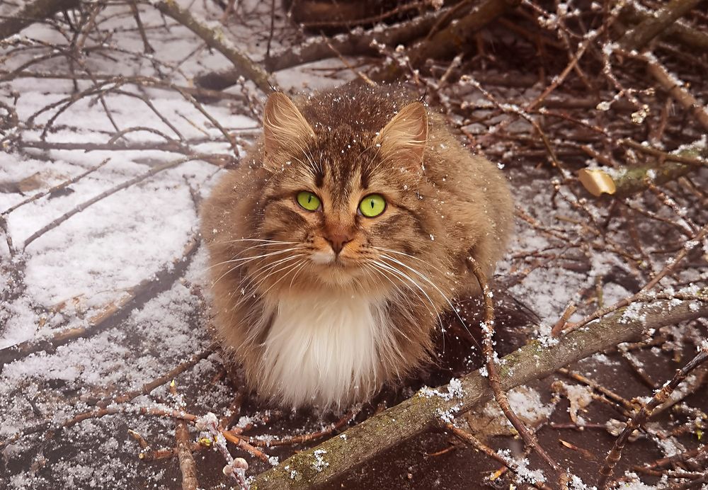 Photograph by Inna Ivanova