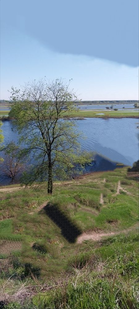 Photograph by Анастасия Липаткина