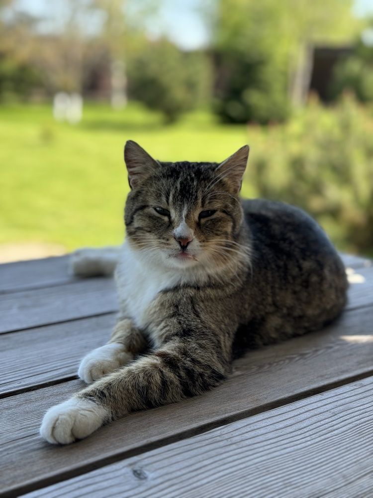 Photograph by Татьяна Маслова