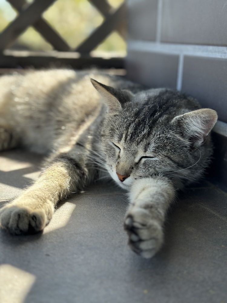 Photograph by Татьяна Маслова