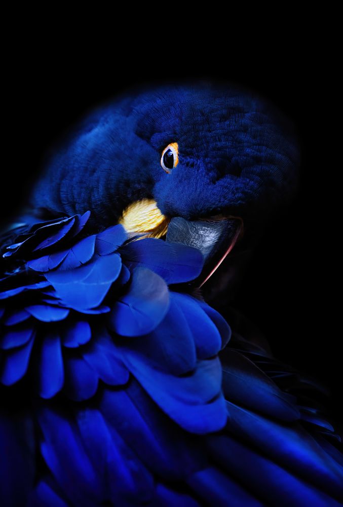 Photograph by Zaneta Konradova