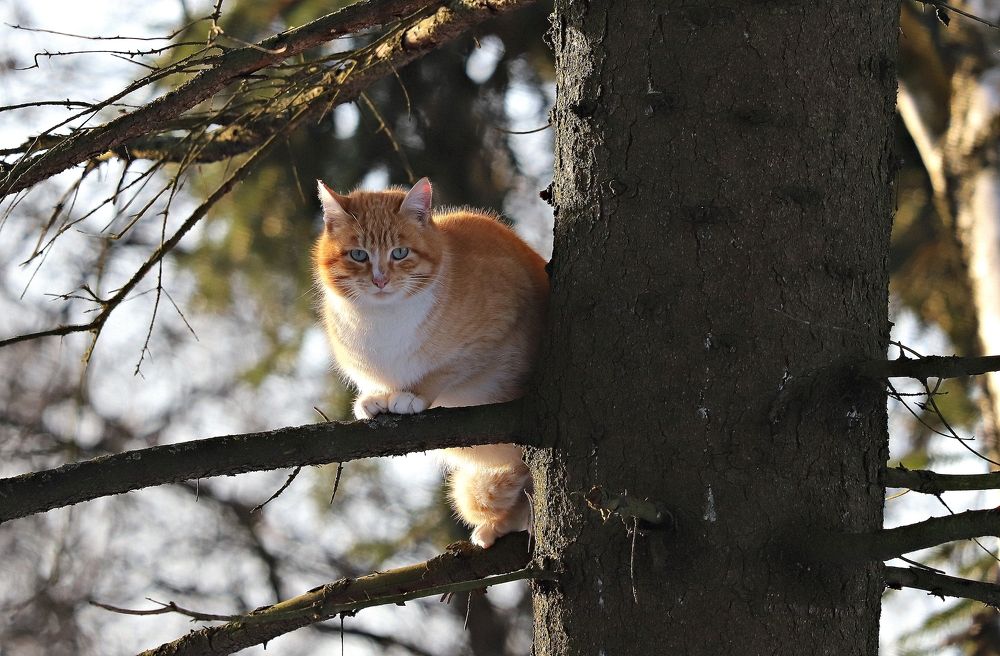 Photograph by Екатерина Мстиславская