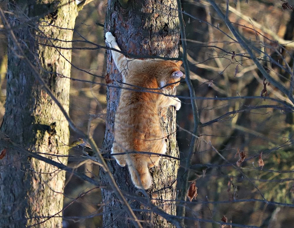 Photograph by Екатерина Мстиславская