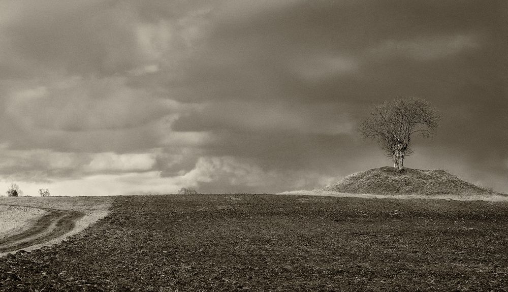 Photograph by Анатолий Максимов