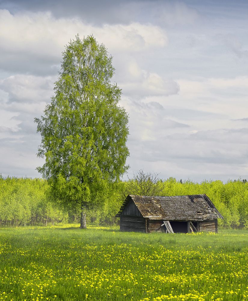 Photograph by Анатолий Максимов