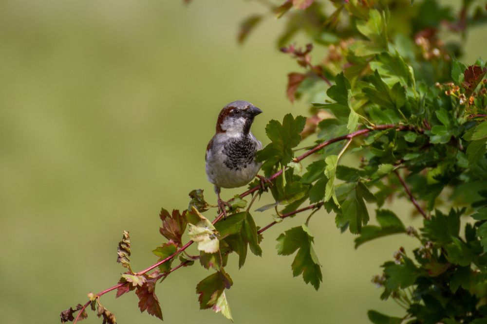 Photograph by Василиса Филимонова