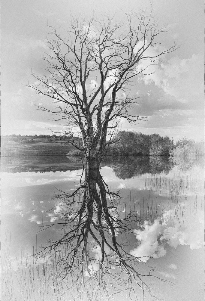 Фотография автора Регина Иванова