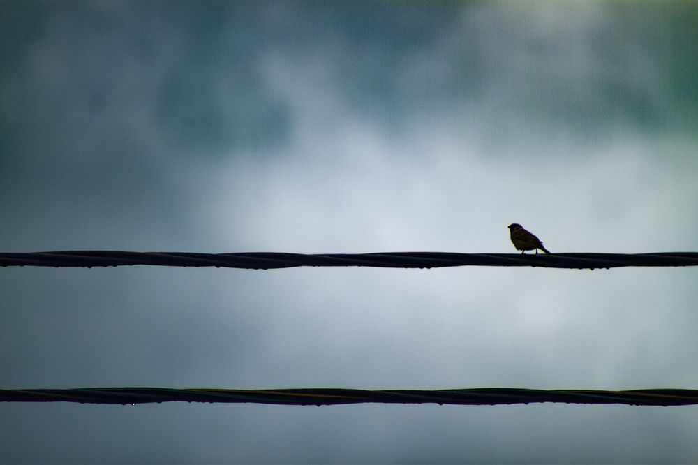 Photograph by Владислав Капанов