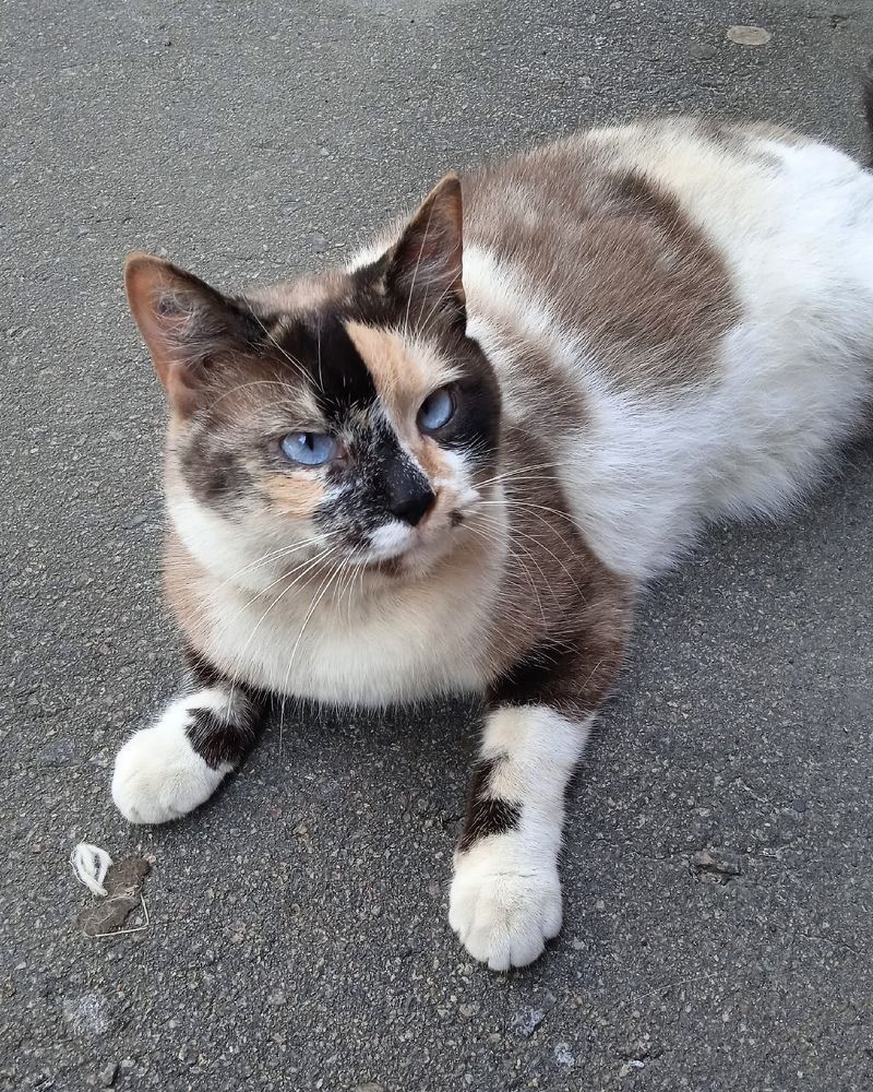 Photograph by Марина Гусева