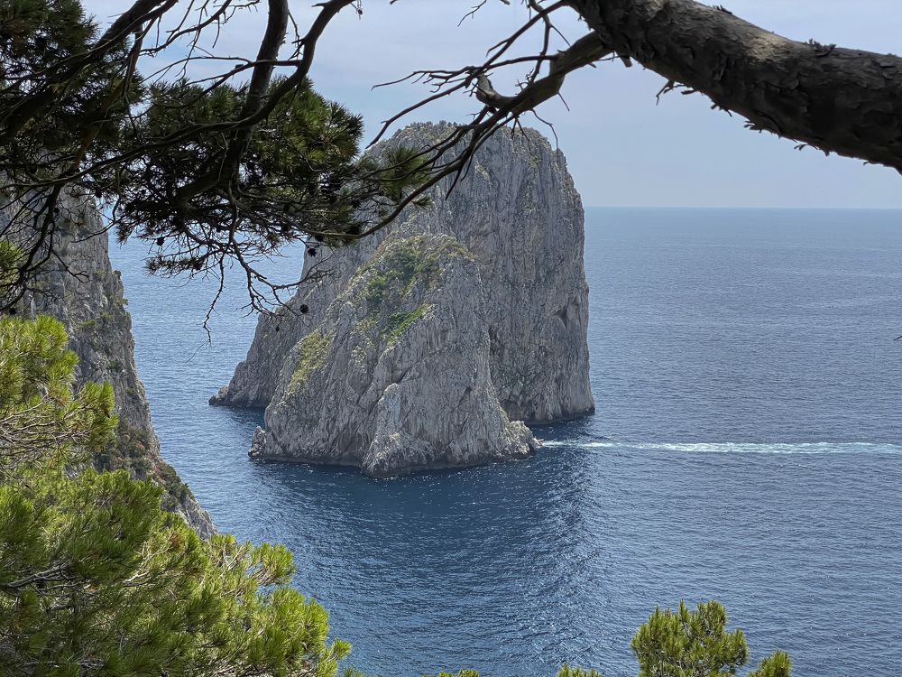 Photograph by maria angelica jaramillo