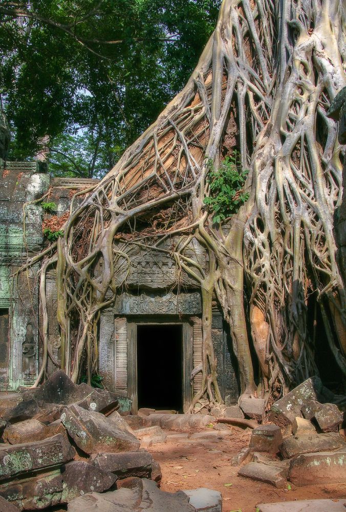 Фотография автора Анатолий