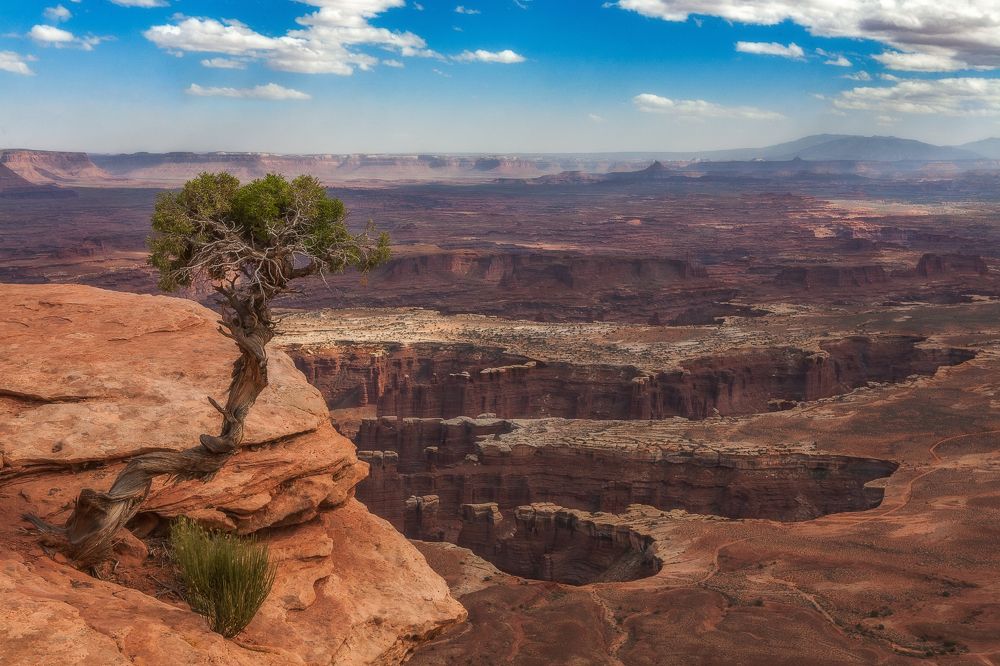 Фотография автора Анатолий
