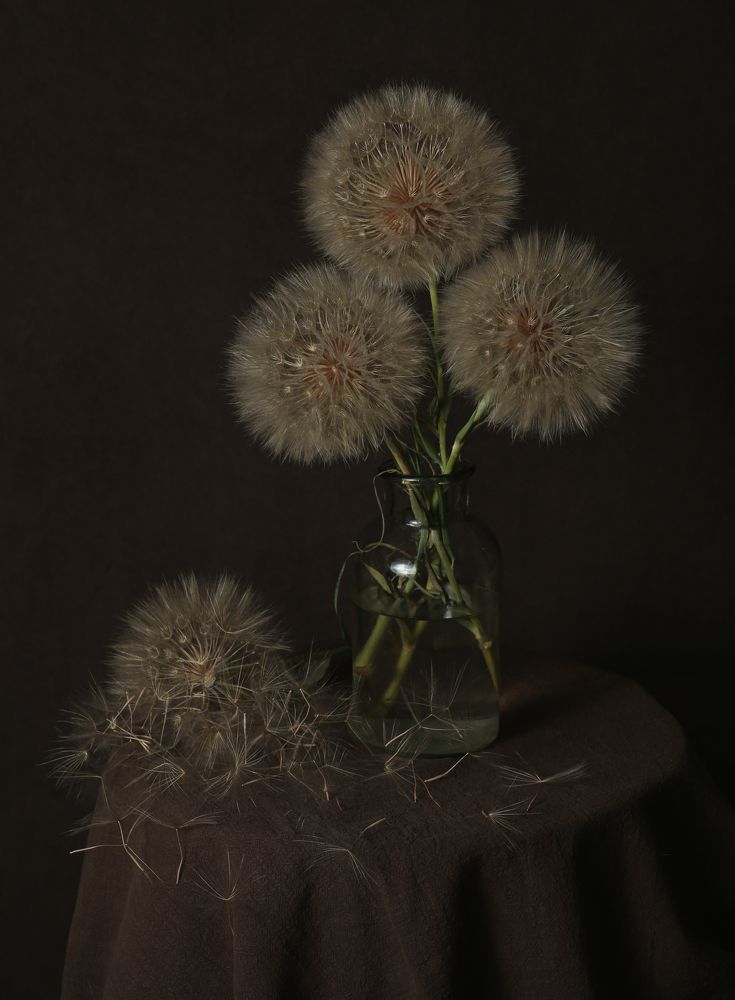 Photograph by Нина Колесова