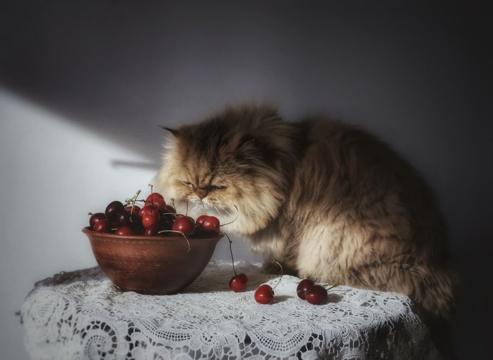 Photograph by Кира Бахвалова