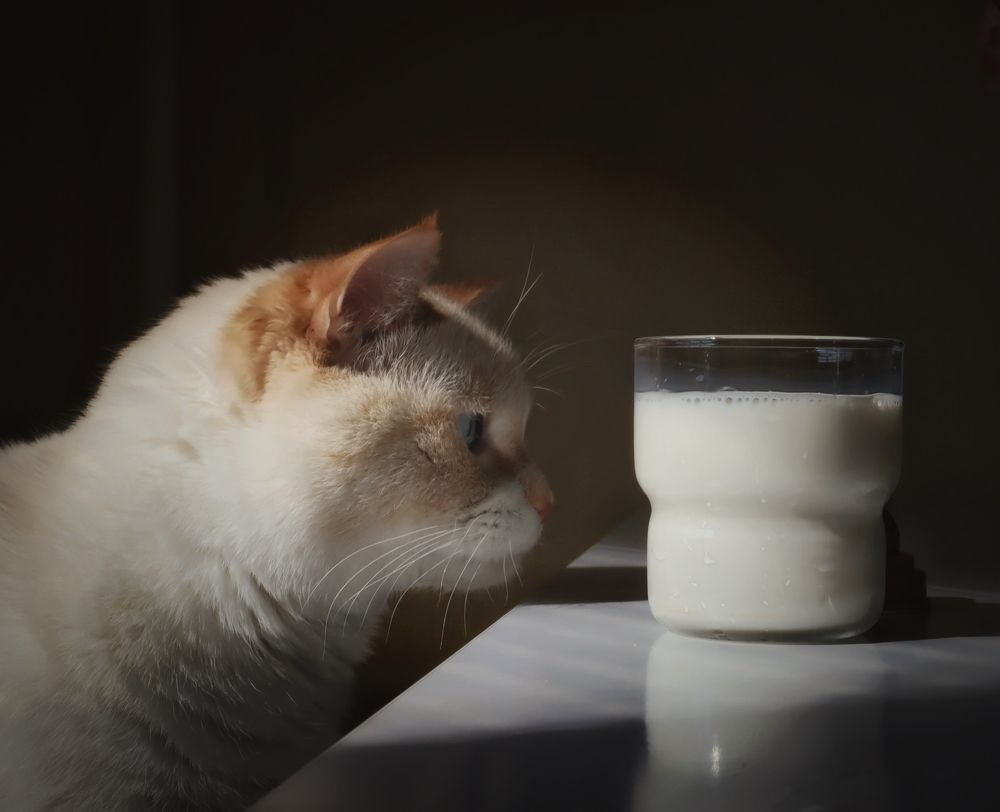 Photograph by Кира Бахвалова