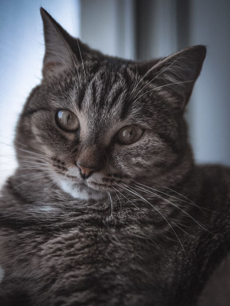 Photograph by Svetlana Storozheva