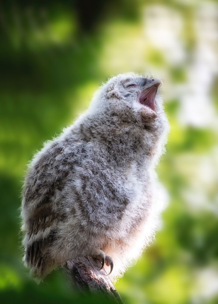 Photograph by Zaneta Konradova