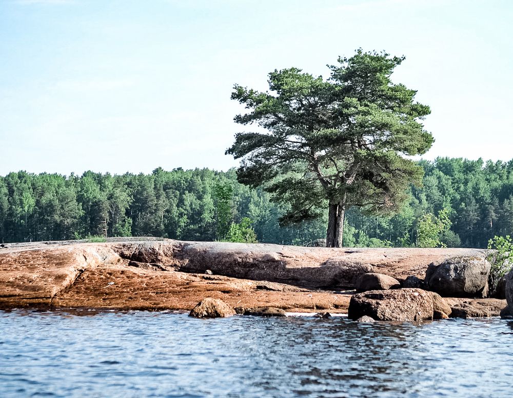 Photograph by Алекс Ти