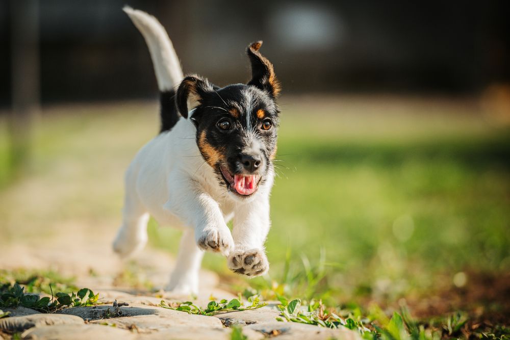 Photograph by Виола Поликарпова