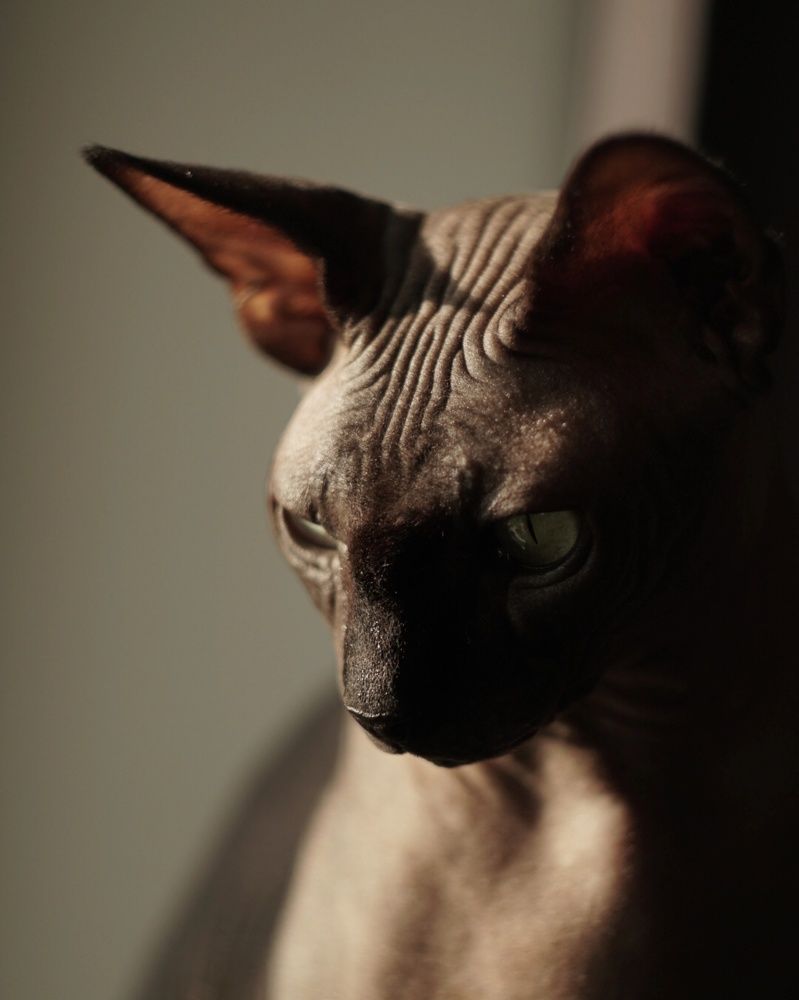 Photograph by Анастасия Черкасова