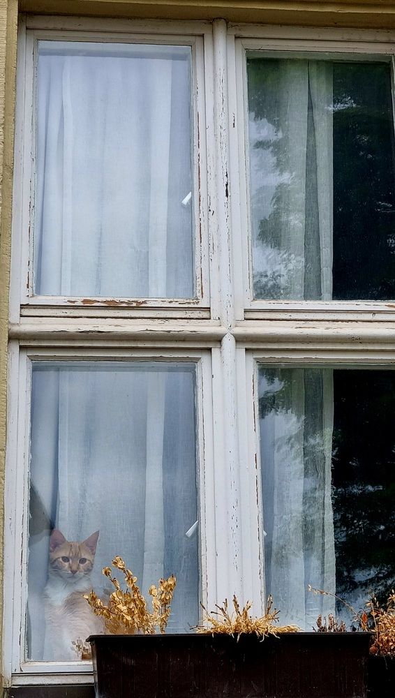 Photograph by Светлана