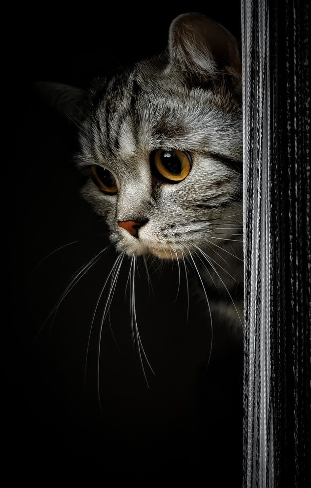 Photograph by Валерий