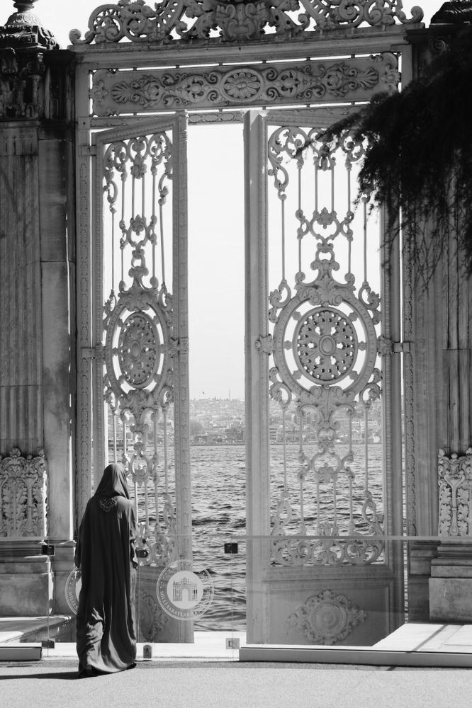 Photograph by Grădinaru Catalin