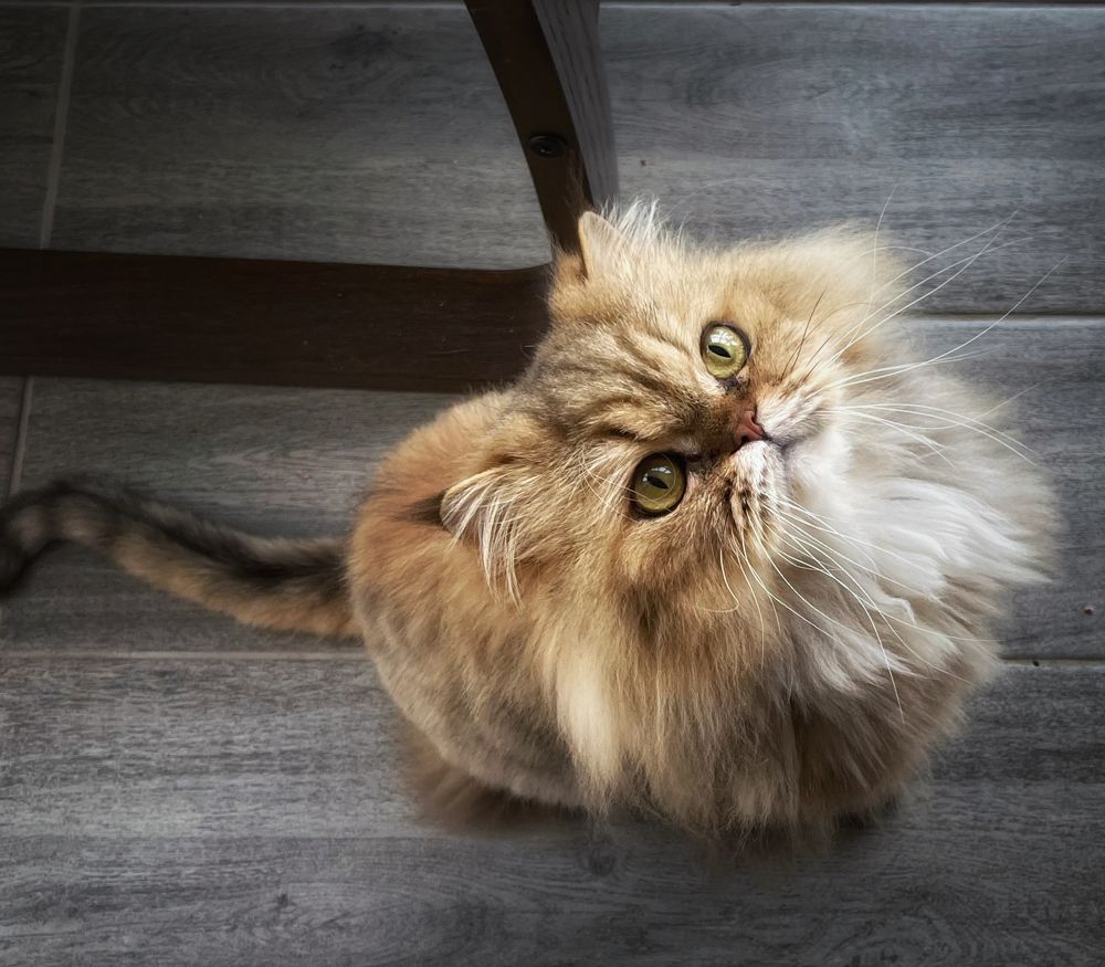 Photograph by Кира Бахвалова