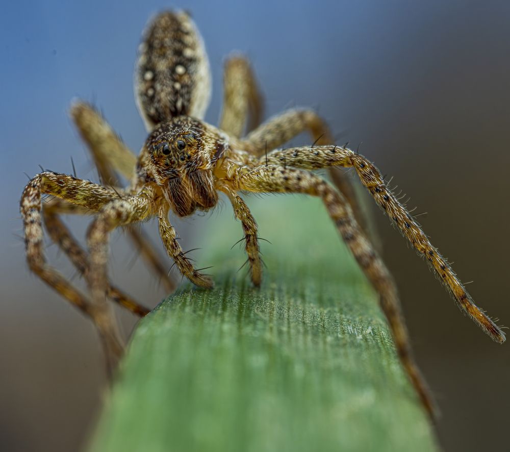 Photograph by Сергей