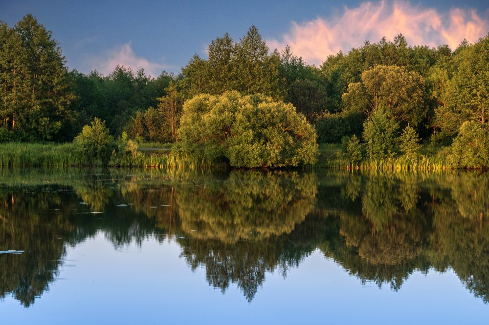 Photograph by Александр Панченко