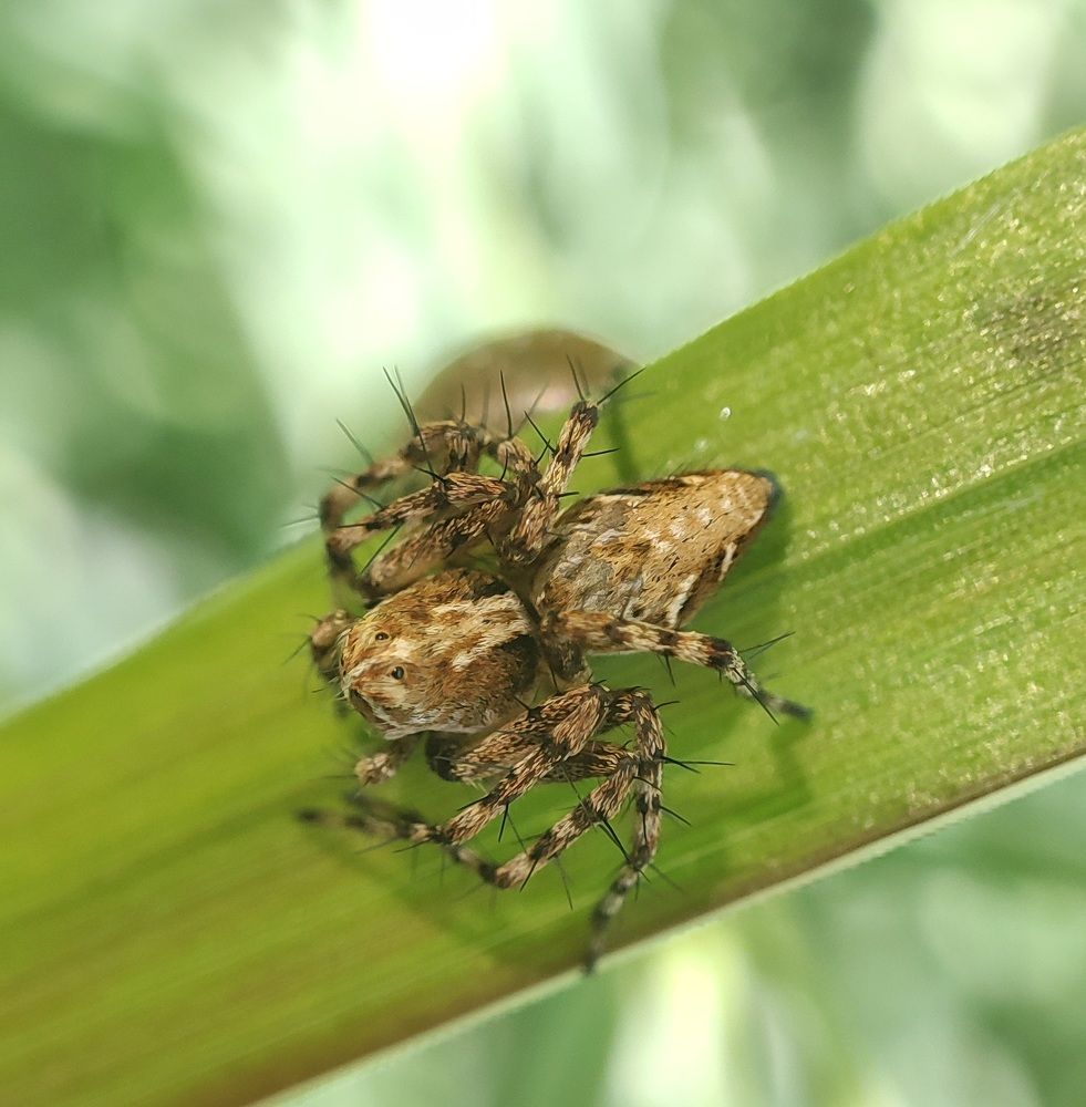 Photograph by Дмитрий Фетисов