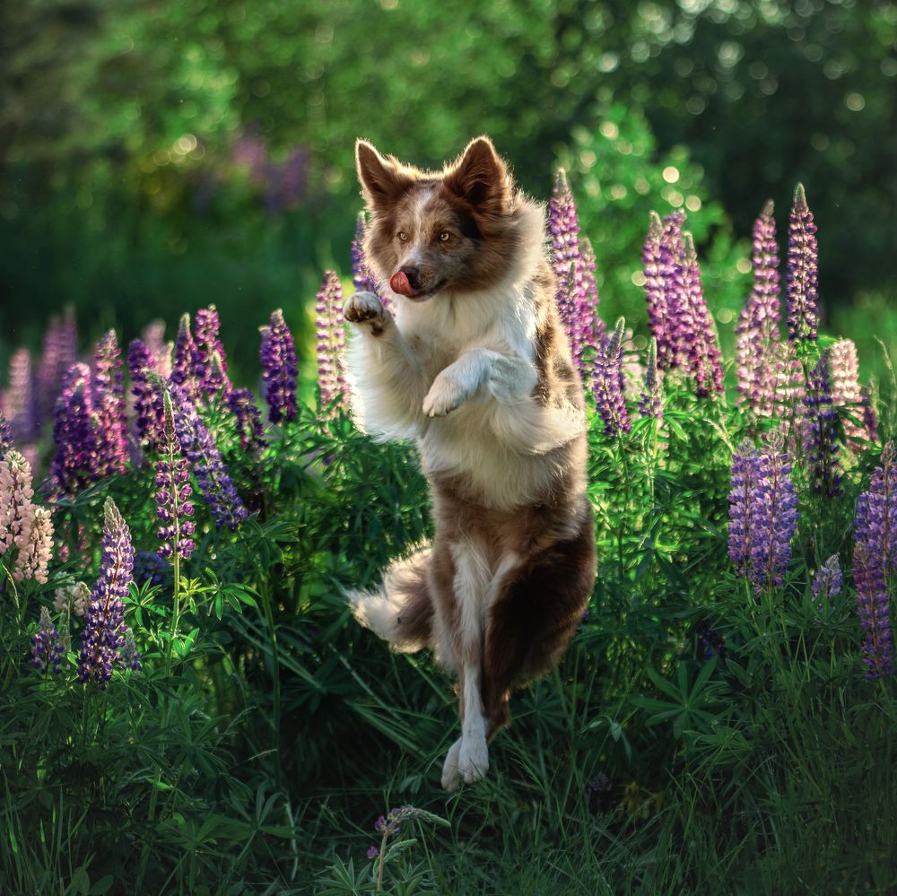 Photograph by Зубкова Юлия