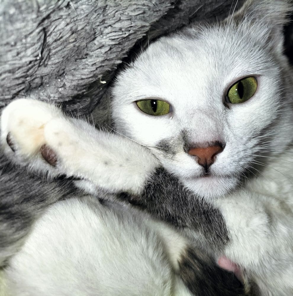 Фотография автора Bernadette Pretorius