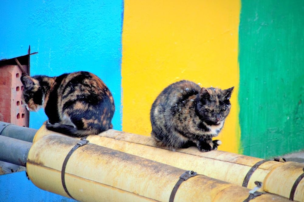 Photograph by Марина