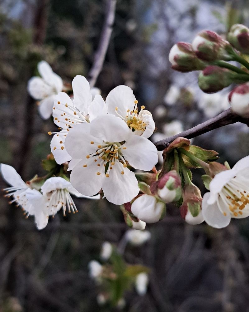Photograph by Марина Леонова
